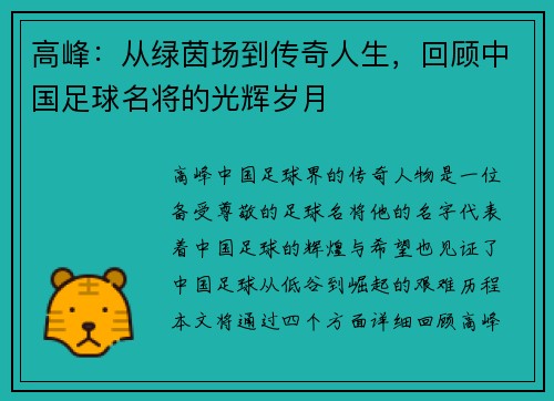 高峰：从绿茵场到传奇人生，回顾中国足球名将的光辉岁月